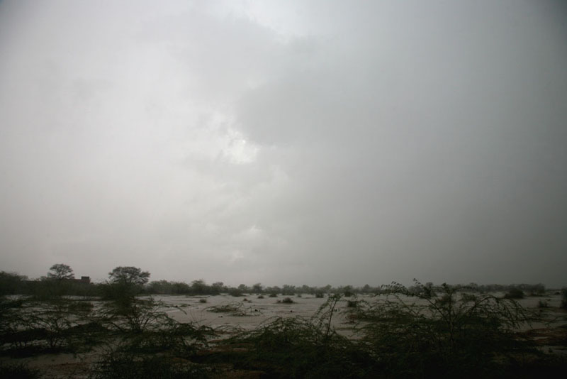 La Forêt des 29 - Le Monde de Djambo - Photo 39